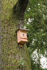 a birdhouse on the tree
