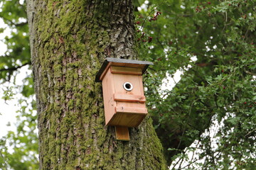 a birdhouse on the tree