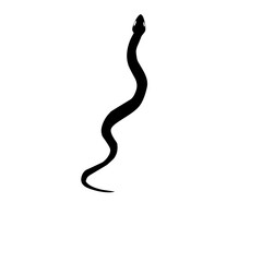 Silhouette of Snake 
