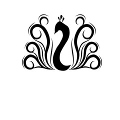 Peacock Logo 