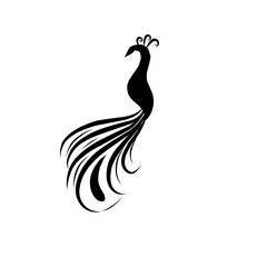 Fototapeta na wymiar Peacock Logo 