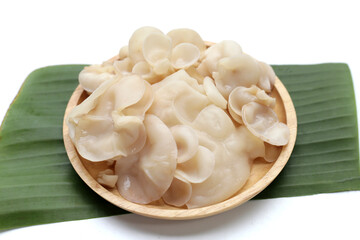 White jelly mushroom or white ear mushroom