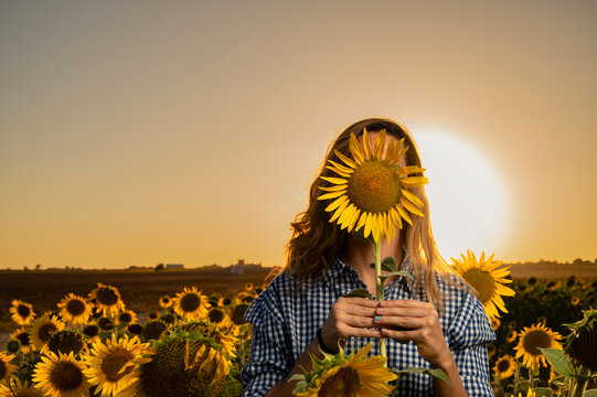 Anonymous woman with sunflower standing near field in summer evening