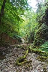 Slovnesky Raj Velky Sokol Hiking Slovakia