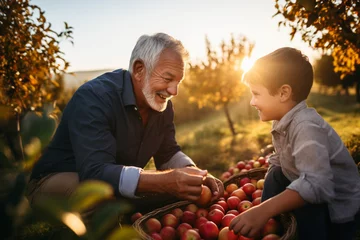 Poster Grandfather and grandson visit the apple orchard, enjoy picking apples in the orchard, fresh air and fresh fruits. © Andrii IURLOV