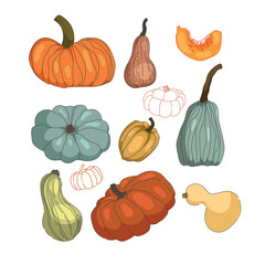 Collection cartoon pumpkins for Halloween, Thanksgiving. Vector illustration
