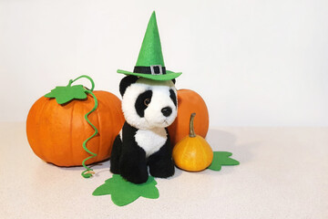Panda plush toy in green witch felt hat sitting near orange and yellow pumpkins with cut out felt green leaves. Light gray sharpen surface and white wall background with copy space. Halloween concept