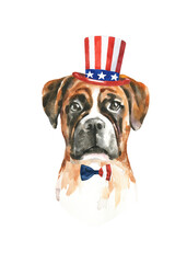 Watercolor dog breed boxer illustration, cute dog head hipster portrait in clothes,american hat, election,birthday party, kid, teenager,realistic funny dog in costume, fashion print, sticker, baby pup