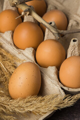 Brown chicken eggs in a tray on a dark background