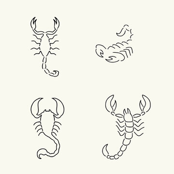 scorpion tattoo line