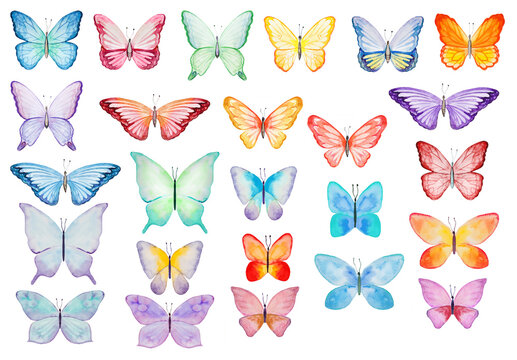 Watercolor colorful butterfles, isolated Illustrations set for summer stationery