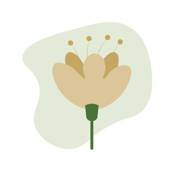Single Flat Floral: A Delicate, Vibrant Blossom in Minimalist Elegance, Perfect for Stylish Designs, Graphic Projects, and Creative Expression.