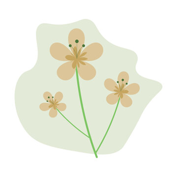 Blooming Flowers Floral Illustration: A Burst of Nature's Beauty in Vibrant Colors and Exquisite Detail - Perfect for Adding Natural Elegance to Your Creative Projects and Design Endeavors.