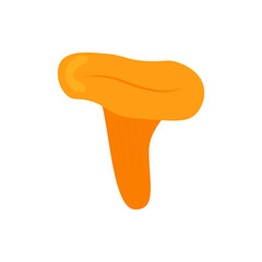 Edible chanterelle mushroom, yellow in color, flat. Autumn organic vegetarian product for menu, label, recipe, store, packaging, fall design. Vector illustration isolated on white background, eps 10.