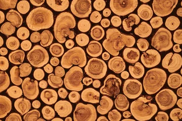 Möbelaufkleber Decorative log wood background. Textured surface with rings, tree trunk slices © amixstudio