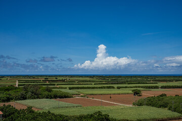 沖縄県多良間島の展望台から見た夏の風景