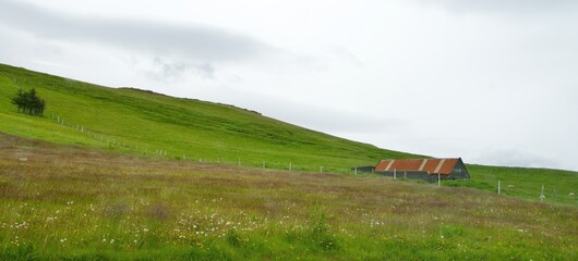 Green meadow with house in Vik, Iceland