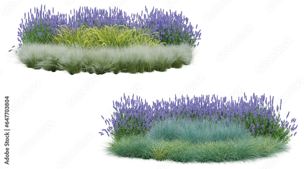 Poster realistic small garden. 3d rendering of isolated objects.