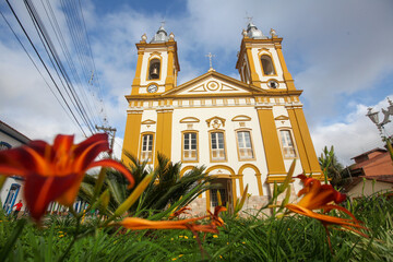 Reflorestamento para a recupera&ccedil;&atilde;o das nascentes do Rio Para&iacute;ba do Sul