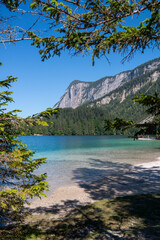 Obraz premium Lago di Tovel (TN) m 1177, Parco Naturale Adamello-Brenta.
