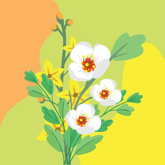 Pattern background design, vector, illustration. Illustration design background with floral concept.