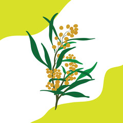 Pattern background design, vector, illustration. Illustration design background with floral concept.