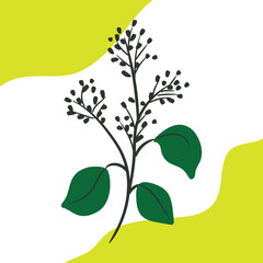 Pattern background design, vector, illustration. Illustration design background with floral concept.