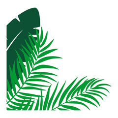 Palm Leaf Corner