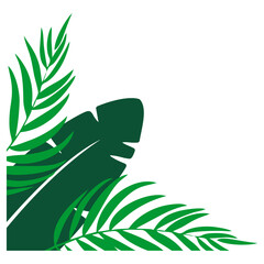 Palm Leaf Corner