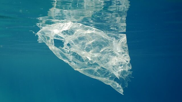 Close-up of plastic bag drifting under water, Slow motion. Transparent torn disposable plastic bag floating on surface of Ocean reflected in surface of water on bright sunny day in sunbeams