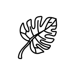 Hand draw of tropical monstera leaves. Monstera Deliciosa. Black contours isolated on a white background.