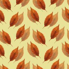 Seamless pattern of autumn leaves.Realistic botanical background.Ideal for wallpaper, gift paper, pattern fills, web page background, autumn greeting cards.Hand drawn illustration.
