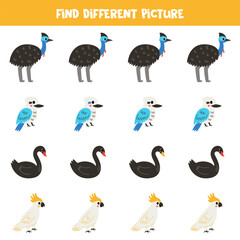 Find different Australian bird in each row. Logical game for preschool kids.