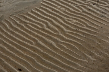 texture of sand ripples
