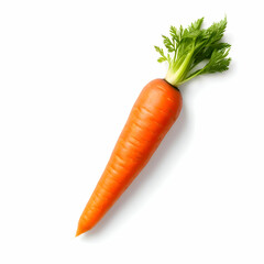 Carrot isolated on white background. High resolution