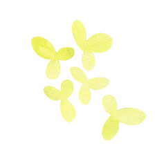 Design element for pattern, green flower, wetland plant, Lémna, aquatic plants, watercolor illustration