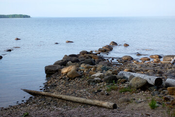 Northern seascape. Tersky coast of the White Sea. Murmansk region, Russia. The White Sea coast in Karelia in summer. Low tide. 