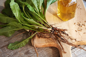 Dandelion roots with herbal tincture