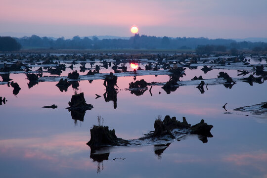 The Gearagh Near Macroom At Sunset; County Cork, Ireland