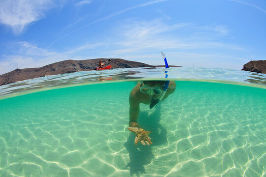 A Young Man Snorkeling Underwater Holding A Starfish In His Hand; La Paz, Baja, California, Sur Mexico