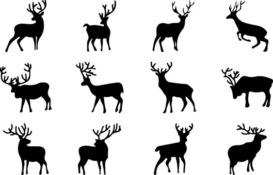 deer silhouette collection vector file