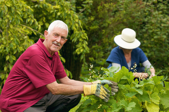 A Man And Woman Gardening Together; Naas, County Kildare, Ireland