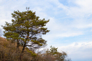 Beautiful countryside scenery along the Venus line in Ueda, Nagano, Japan