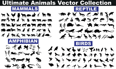diverse animal vector collection, featuring mammals, reptiles, amphibians, birds. Lions, elephants, gorillas, snakes, lizards, crocodiles, frogs, salamanders, newts, eagles, parrots, owls