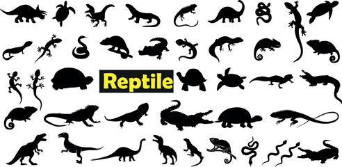 A set of silhouettes of reptiles, including snakes, lizards, turtles, and crocodiles. The reptiles are drawn in a simple, elegant style and are arranged in a circular pattern. The background is white.