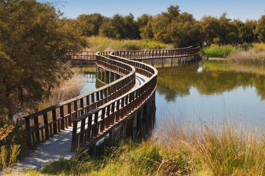 Wooden Walkways Through The Tablas De Daimiel National Park; Ciudad, Real Province, La Mancha, Spain