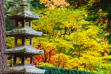 Autumn Colours At The Japanese Garden; Portland, Oregon, United States of America