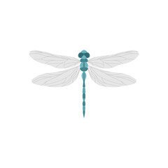 dragonfly flat design vector illustration