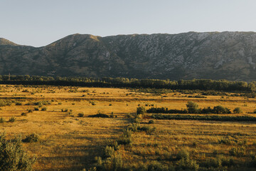 autumn landscape in the mountains