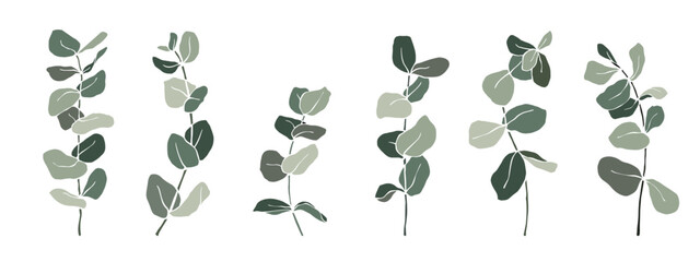 Set of eucalyptus branches. Vector graphics.